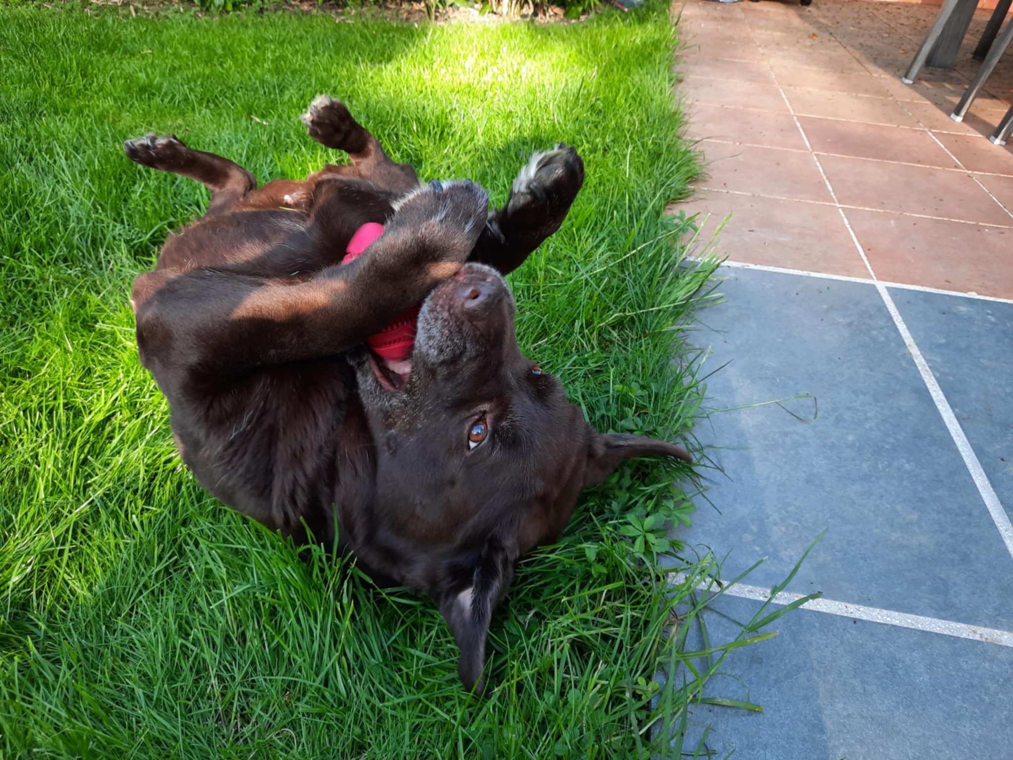 Photo de Luna